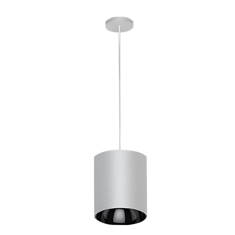 ip65-led-downlight suspension installation