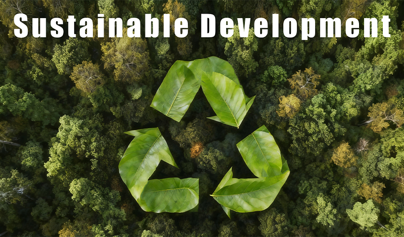 Sustainability Cover GS