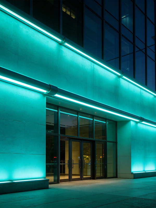 neon led strip Application