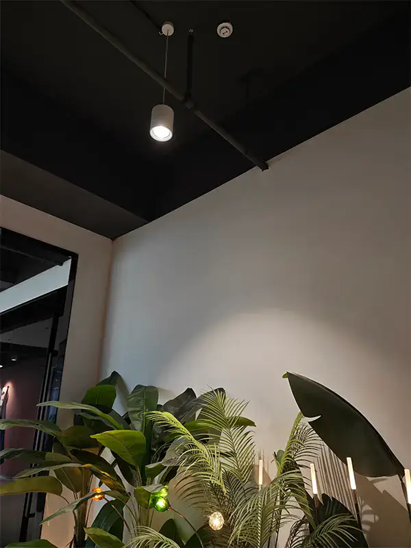 Anti Glare Downlights