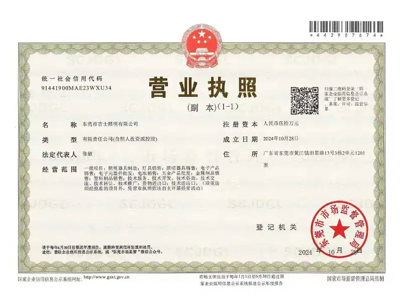 GS LIGHT business license